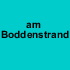 am Boddenstrand