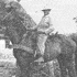 Dransker Bauer