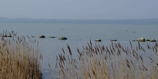 Wiecker Bodden